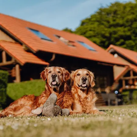 Blockhausferien Ruegen - Meerblick * Sassnitz